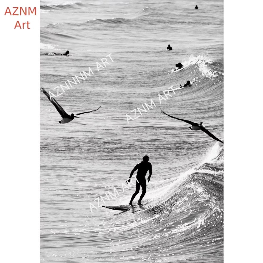 1 قطعة ، غرامة تصفح أبيض وأسود - مراجعة Photography Class وسعره